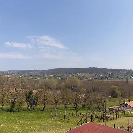 Vilmos Pince Fogado Villa Heviz Exterior photo